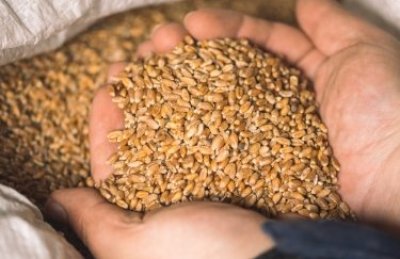 У Єврокомісії внесли пропозицію продовжити заборону на імпорт української агропродукції