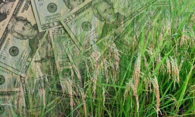 Круглий стіл «Фінансування аграріїв в умовах карантину: кредитувати не можна заморозити» (онлайн-трансляція)