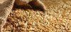 Єврокомісія схвалила пропозицію підвищити тарифи на імпорт зерна із росії та білорусі