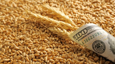 Україна за рік збільшила експортну виручку на 21%