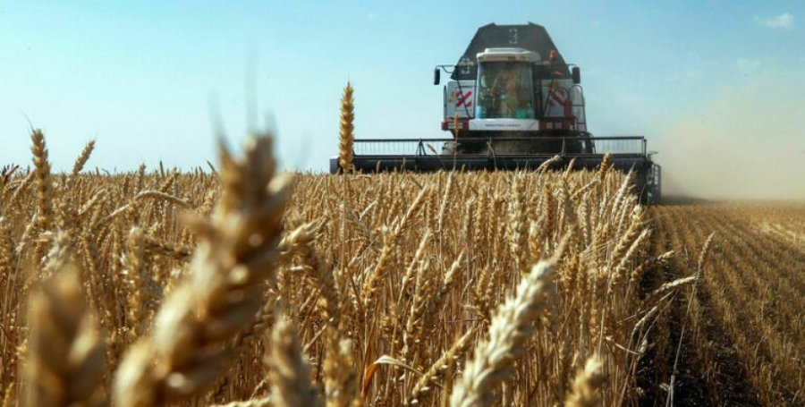 За два місяці війни Україна експортувала агропродукції на $1,74 млрд