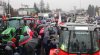 Польща відновила транзит української аграрної продукції