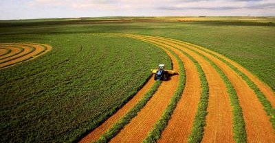 Юридичні особи виграють від можливості фізосіб купувати землю