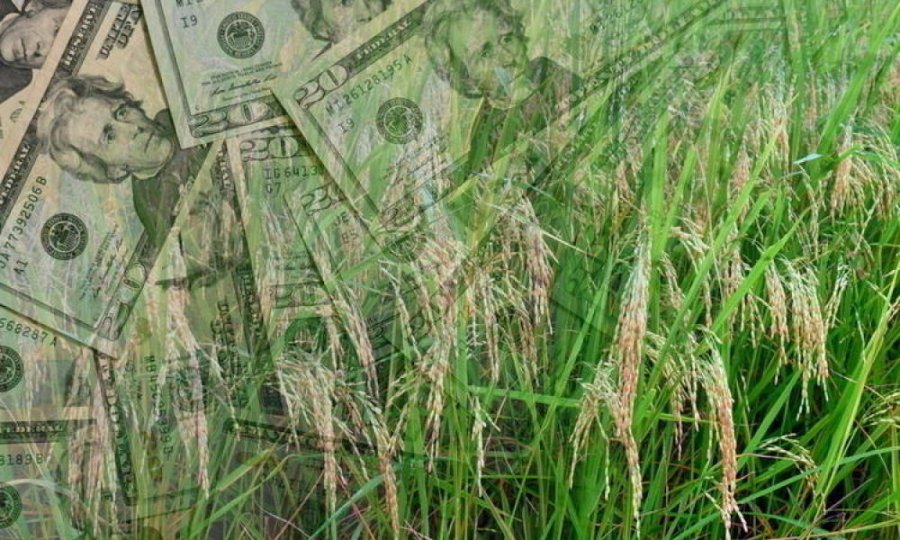 Круглий стіл «Фінансування аграріїв в умовах карантину: кредитувати не можна заморозити»