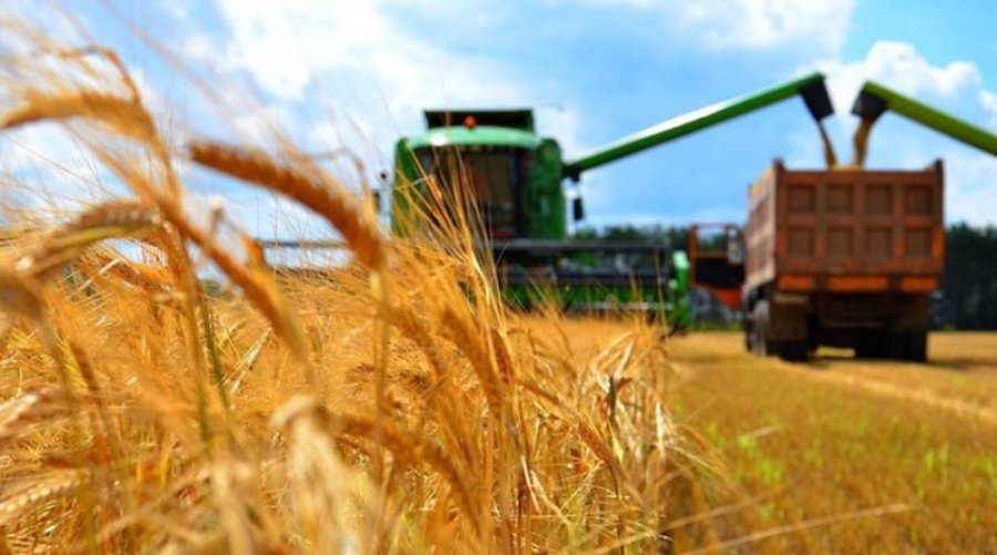 Аграрії отримали понад 37,4 млрд грн доступних кредитів з початку року