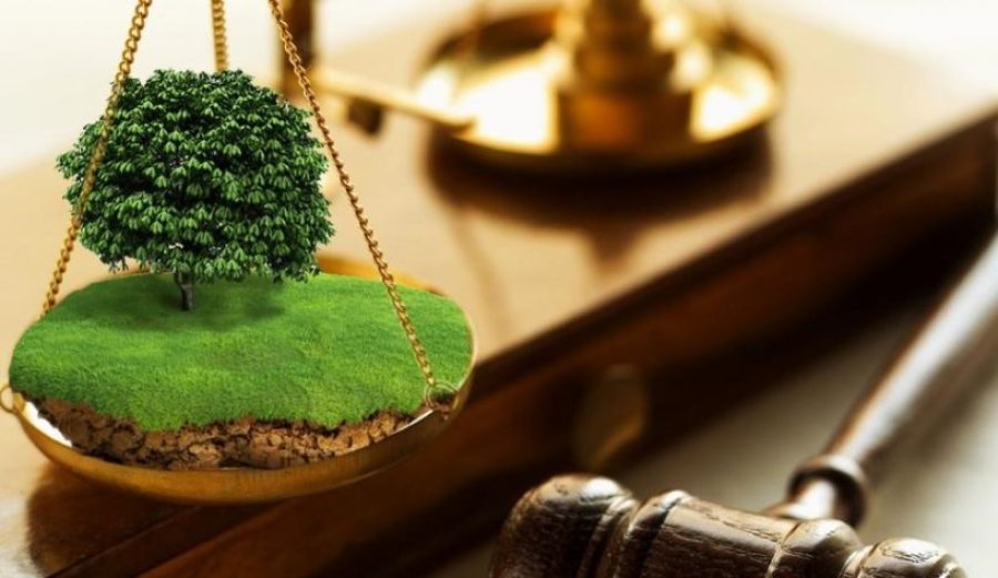 Бізнес стурбований неможливістю легально придбати землю
