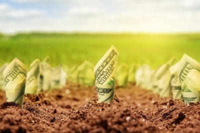 Очікується світове подорожчання продуктів через нестачу добрив