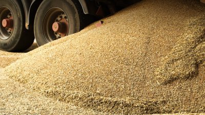 «Чорний» експорт зерна сягнув 134 млрд грн