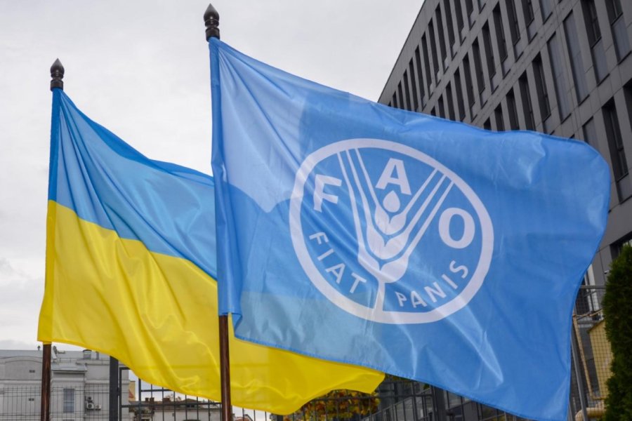 Світові ціни на продовольство впали на 10,7%