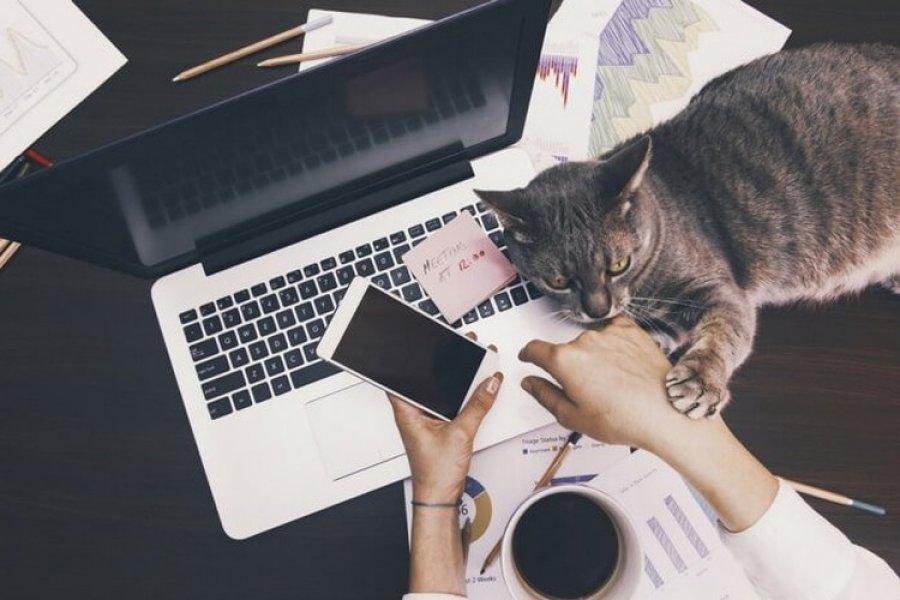 Банки перешли на гибридный формат работы