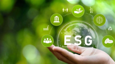 Нацбанк підготував Білу книгу з управління ESG-ризиками у фінсекторі