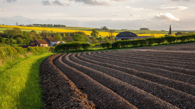 Держава заробила понад 500 млн грн за пів року на онлайн-аукціонах із суборенди агроземель