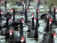 Saxo Bank сделал «шокирующие предсказания» на 2018 год