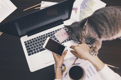 Банки перейшли на гібридний формат роботи