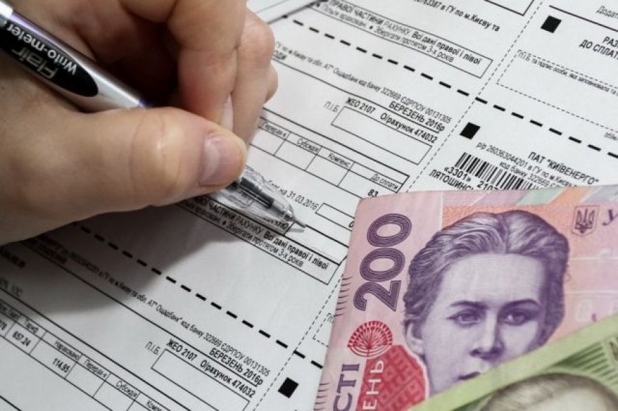 В Украине будет две модели выплат субсидий - Рева