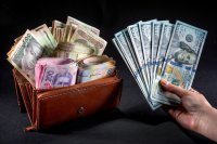 Круглий стіл «Що буде з курсом гривні»