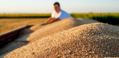 Німеччина створить фонд для експорту зерна з України