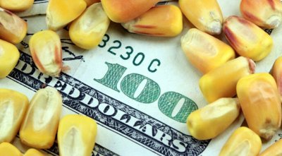 У Раді зареєстрували законопроєкт про електронні аграрні розписки