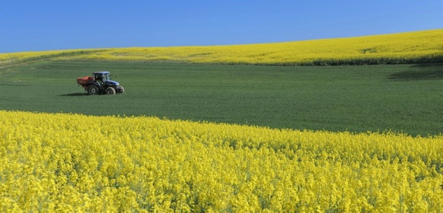 Аграрії цьогоріч отримали кредитів майже на 20 млрд грн