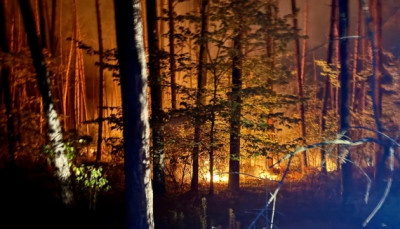 Екологічні збитки України від війни перевищили 7 трлн грн