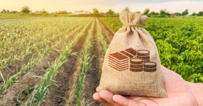 Держзембанк сплатив до бюджету 369 млн грн дивідендів