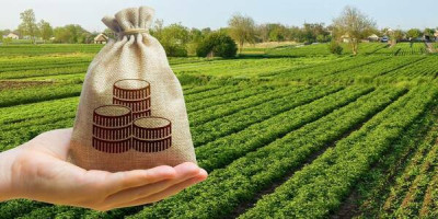 Землевласники сплатили 25,5 млрд грн земельного податку