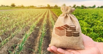 За проєктом «Земельний банк» провели ще 13 аукціонів за тиждень