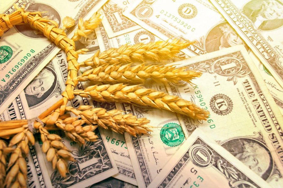 Фермери залучили $180 млн через аграрні розписки