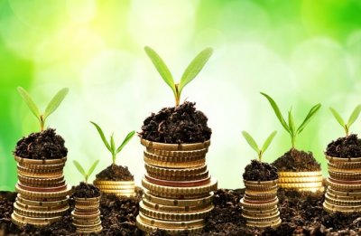 Уряд створив Фонд гарантування кредитів для фермерів