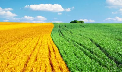 МТБ БАНК: ДО 5 МІЛЬЙОНІВ ГРИВЕНЬ ПІД ФІНАНСОВУ АГРАРНУ РОЗПИСКУ