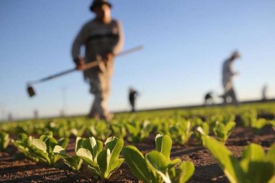 Банки почали боротися за кожного фермера