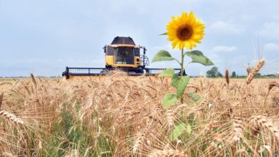 Прямі збитки агросектору з початку війни перевищили $10 млрд