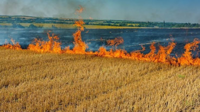 Аграріям компенсують втрати врожаю через бойові дії