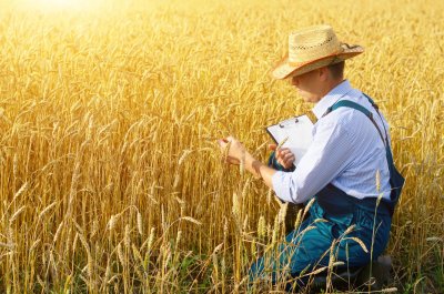 Рада ухвалила закон про аграрні ноти