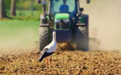 Банкіри розповіли, аграріям з яких регіонів легше отримати кредити