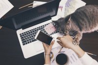 Необанки не заменят классические банки