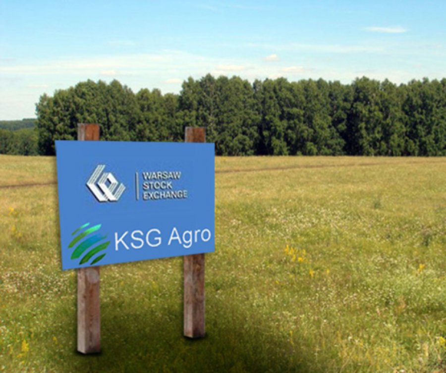 Акції KSG Agro зросли на 9% на Варшавській біржі