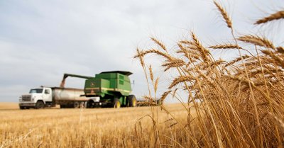 ЄC продовжив часткову заборону імпорту української агропродукції в 5 країн