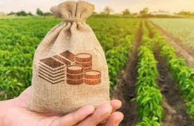 З початку року агросектору видали кредитів на понад 43 млрд грн