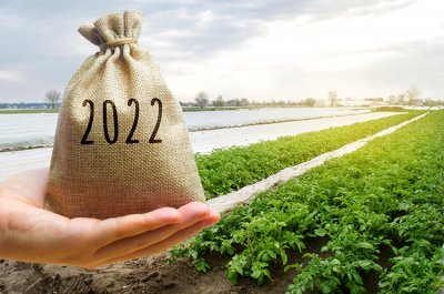 Банки видали майже 20 млрд грн кредитів на посівну