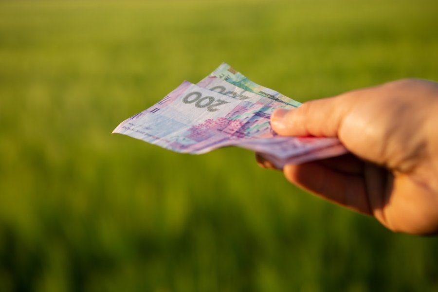 Аграрії отримали з початку року пільгових кредитів на 25,7 млрд грн