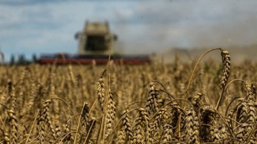 Аграрії отримали пільгових кредитів з початку року на 1 млрд грн