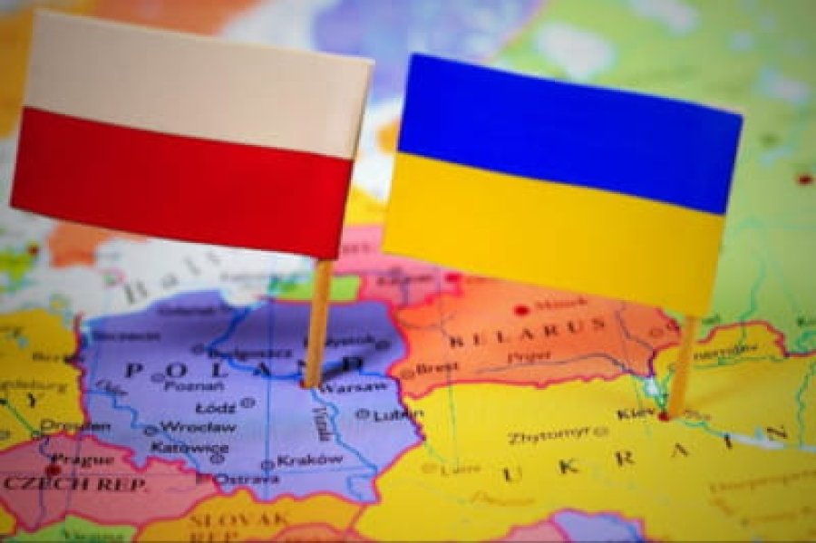 З 2022 року українці у Польщі відкрили 8 тис. компаній та 50 тис. ФОПів