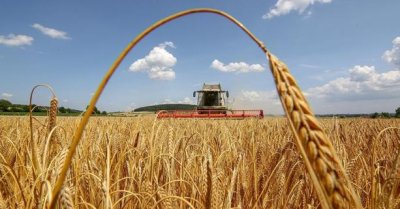НБУ зменшив аграріям до 90 днів строк повернення експортної виручки