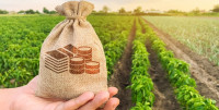 Кредити для аграріїв за програмою «5-7-9%» здешевили до 10%