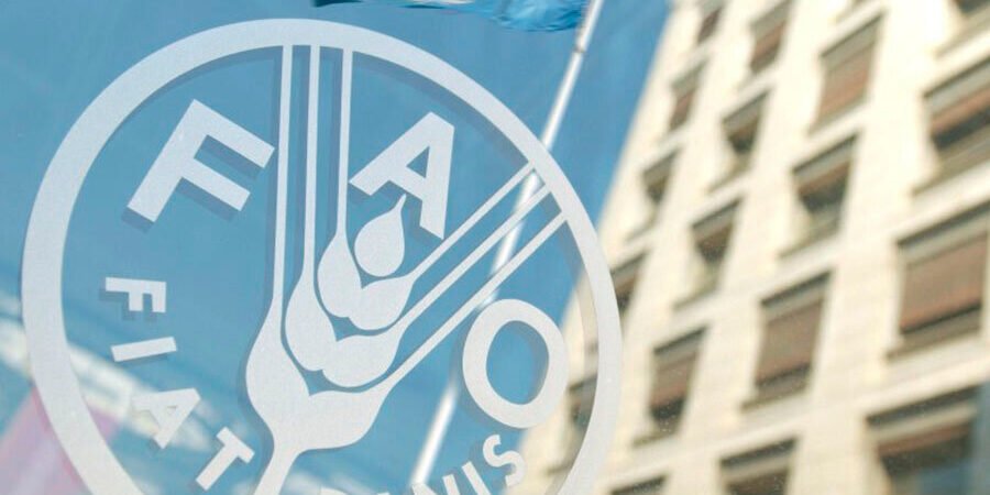 Світові ціни на продовольство знижуються