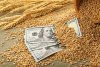 5 країн ЄС закликають заборонити імпорт зерна з росії та білорусі