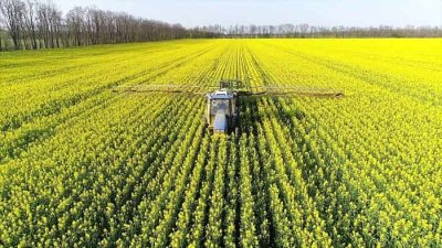 Україна розробила процедуру верифікації аграрного експорту до 5 країн ЄС