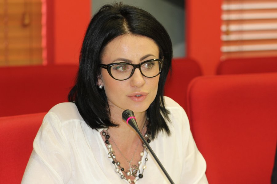 Екатерина Мисник: «Незалежний аудит може лягти в основу кримінальних проваджень»