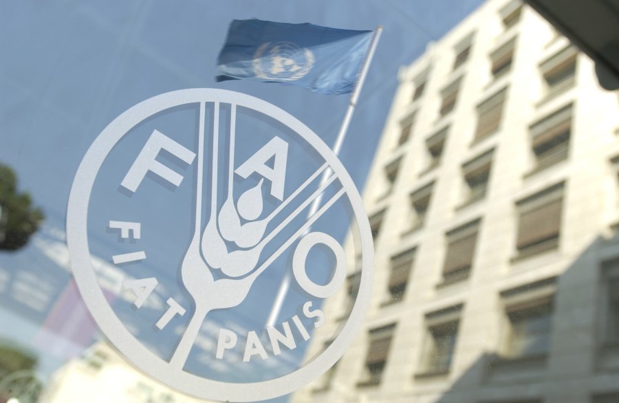 Україна стала членом аграрного фонду ООН